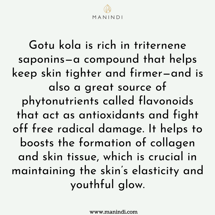 Manindi  Gotukola Face Oil - Boosts Collagen | Improves Skin Elasticity | Fights Wrinkles | Quick Absorbing | Anti Acne, Anti Aging - No Parabens ,Silicones & Mineral Oil - 100 ml